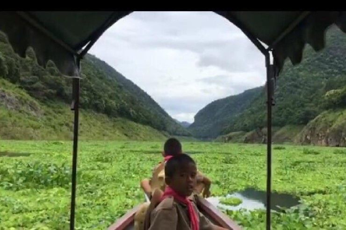 ครูเรือนแพเผยภาพผักตบขวางทางแน่น เด็กไปโรงเรียนสุดลำบาก ครูเรือนแพเผยภาพผักตบขวางทางแน่น เด็กไปโรงเรียนสุดลำบาก