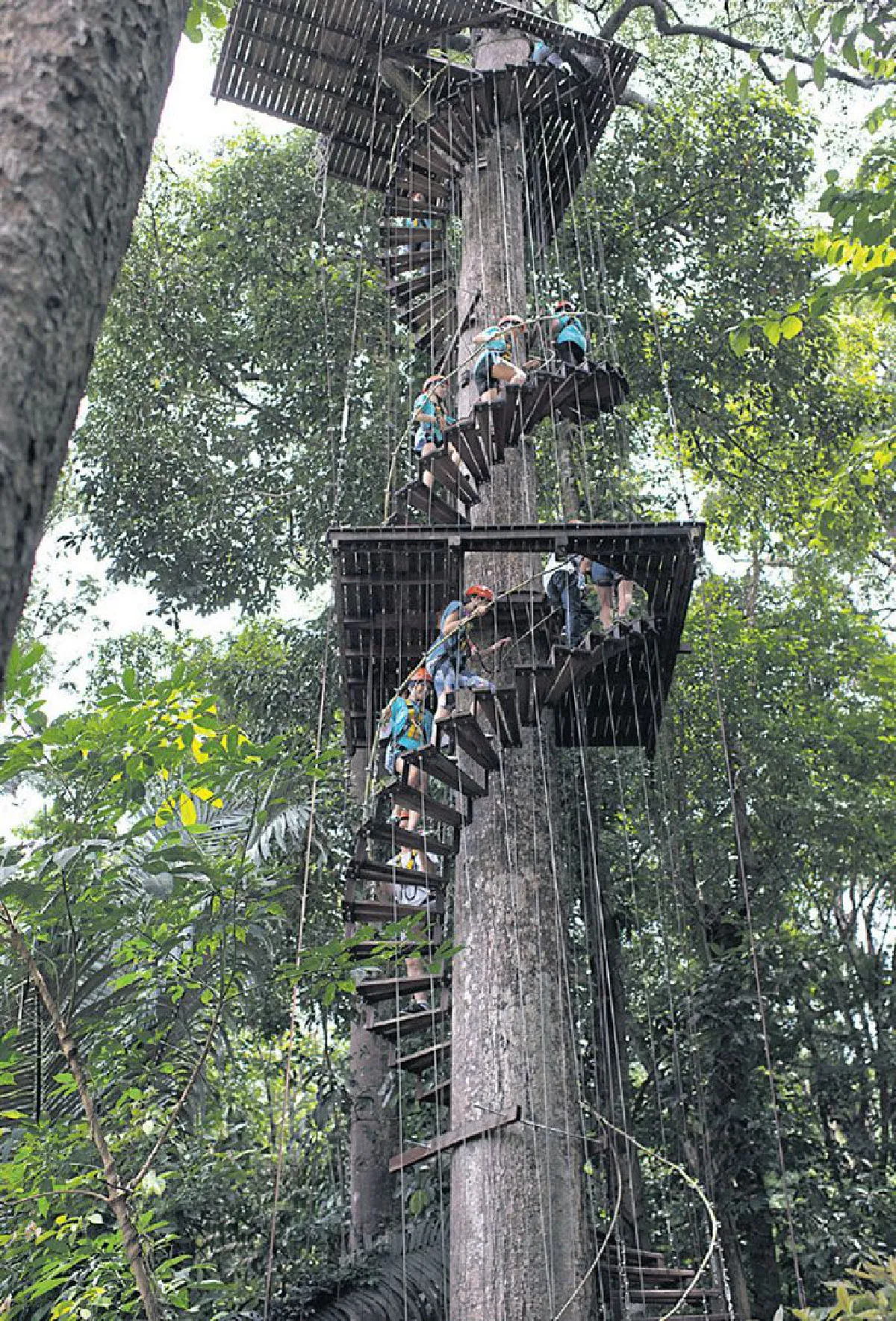 ห้อยโหนเป็นลิง กรี๊ดลั่นป่า ที่หนุมาน เวิลด์