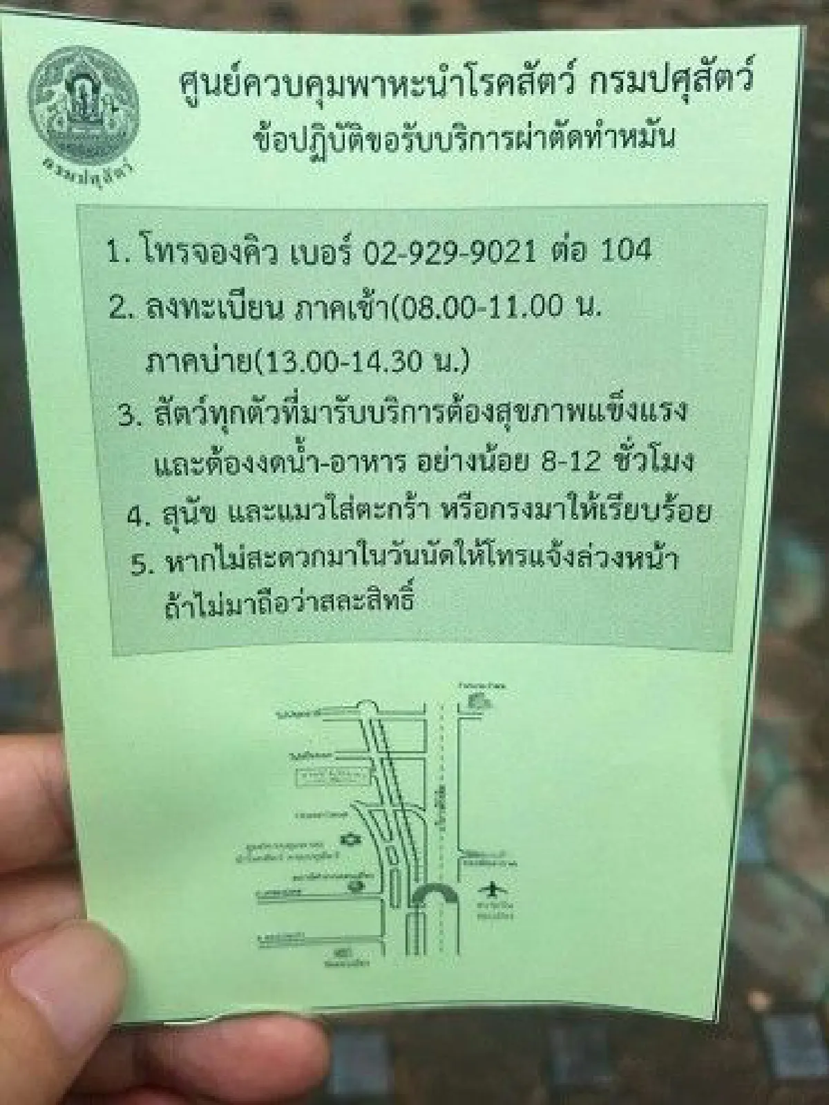 "จับทำหมัน-หาบ้านใหม่" อวสานแมวสวนลุม
