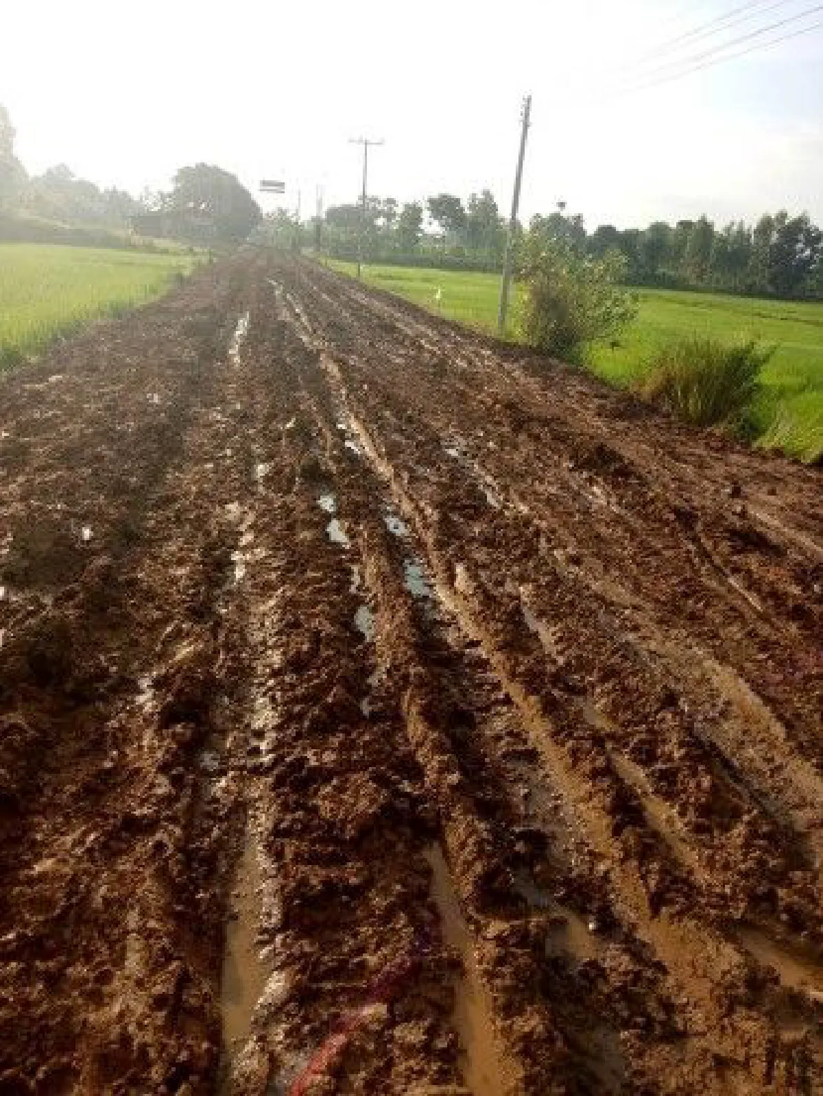 ชีวิตครูภูธร! ครูสาวเดินเท้าเปล่า ฝ่าถนนลูกรังสภาพเละเทะไปสอนหนังสือเด็ก