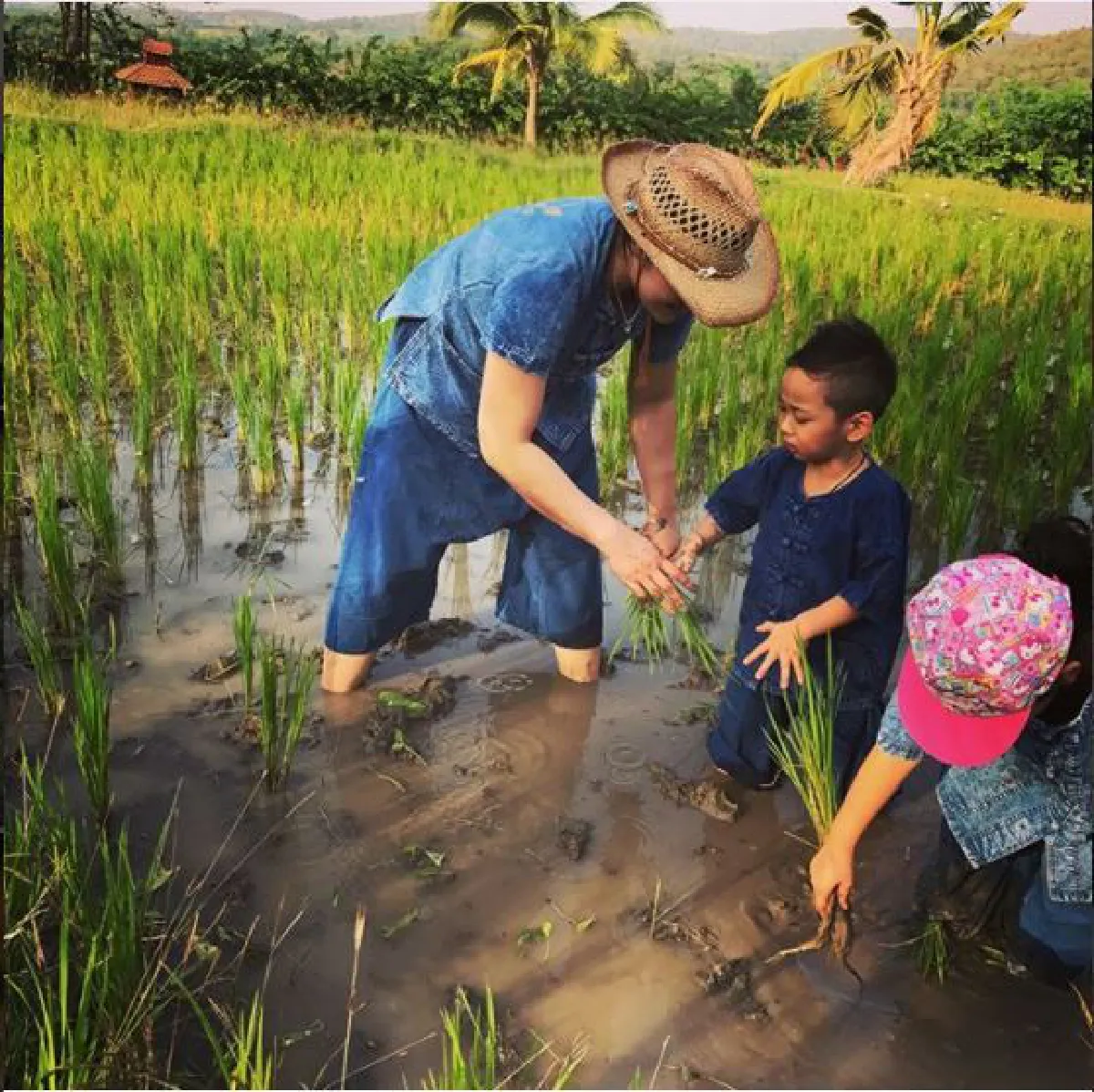 เรียนรู้ชีวิตพอเพียง! ตั๊ก บงกช พาลูกชายปลูกข้าวสัมผัสชีวิตชาวนา