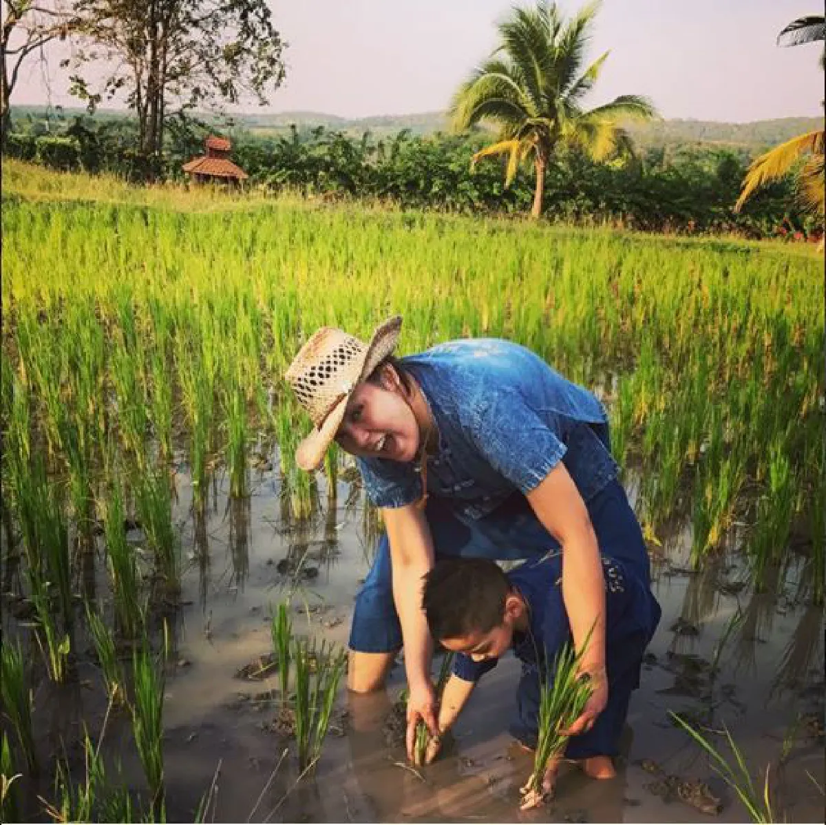 เรียนรู้ชีวิตพอเพียง! ตั๊ก บงกช พาลูกชายปลูกข้าวสัมผัสชีวิตชาวนา