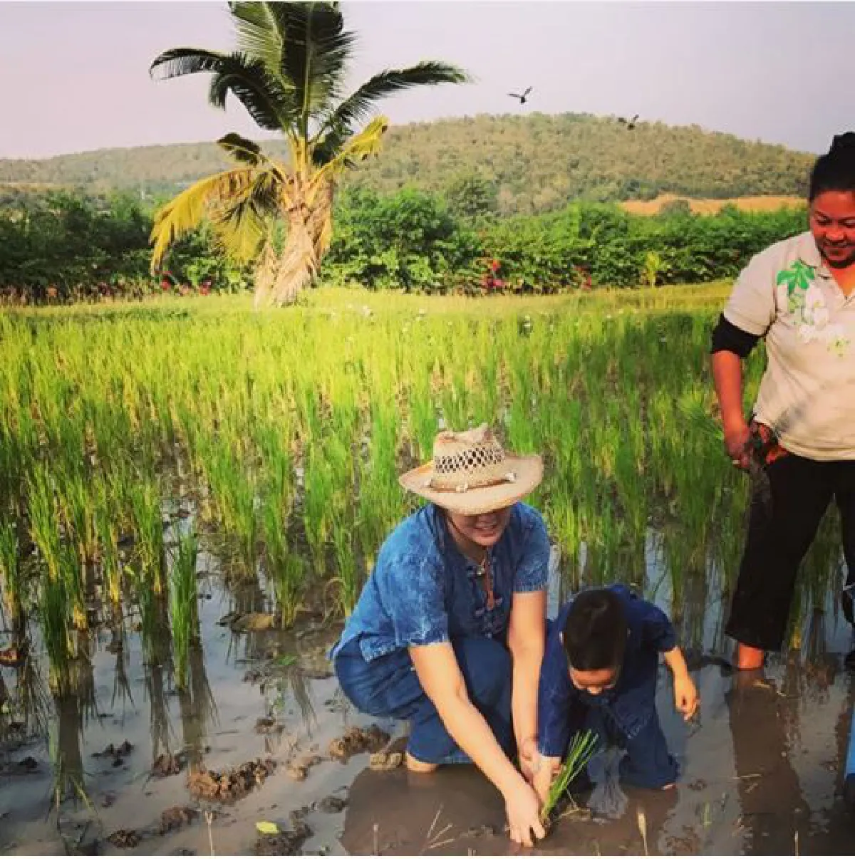 เรียนรู้ชีวิตพอเพียง! ตั๊ก บงกช พาลูกชายปลูกข้าวสัมผัสชีวิตชาวนา