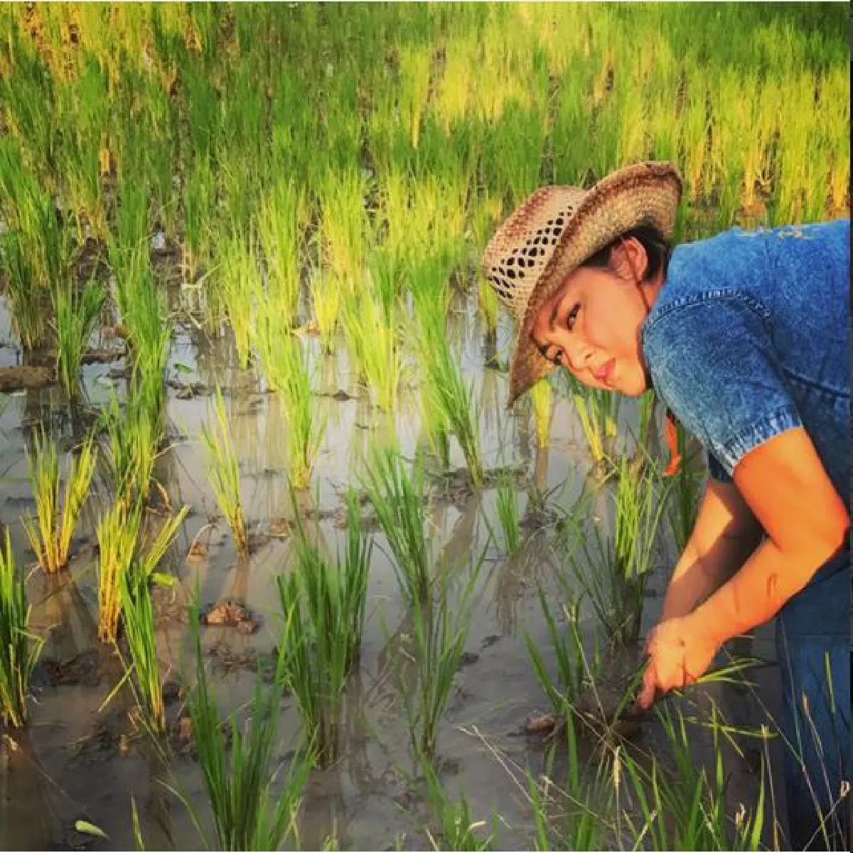 เรียนรู้ชีวิตพอเพียง! ตั๊ก บงกช พาลูกชายปลูกข้าวสัมผัสชีวิตชาวนา