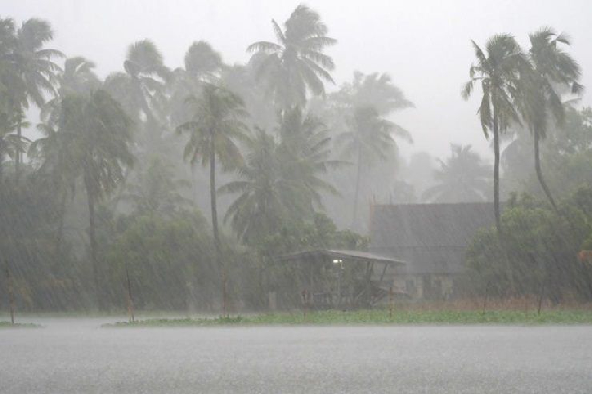 เตือนรับมือพายุ'ฮาโตะ'ทำฝนหนัก เตือนรับมือพายุ'ฮาโตะ'ทำฝนหนัก