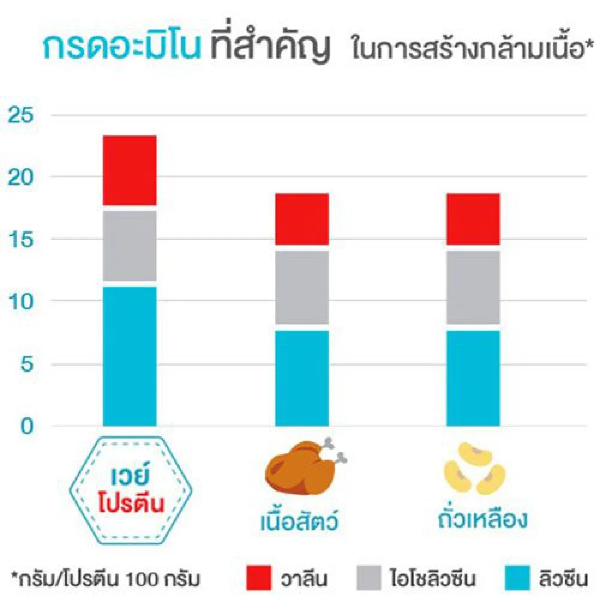 สูงวัย สมัยใหม่ ดูแลด้วย “เวย์โปรตีน” ใน 6 เหลี่ยมสุขภาพ