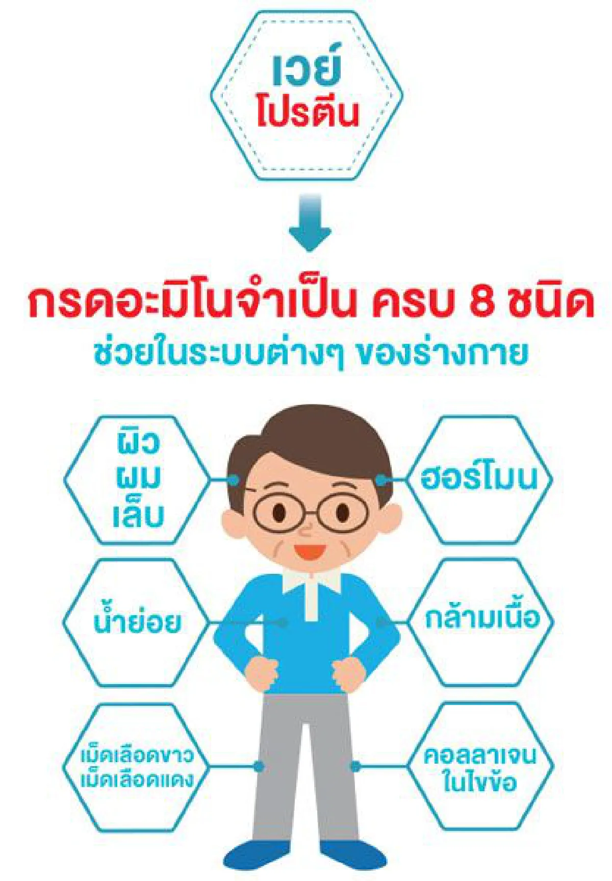 สูงวัย สมัยใหม่ ดูแลด้วย “เวย์โปรตีน” ใน 6 เหลี่ยมสุขภาพ