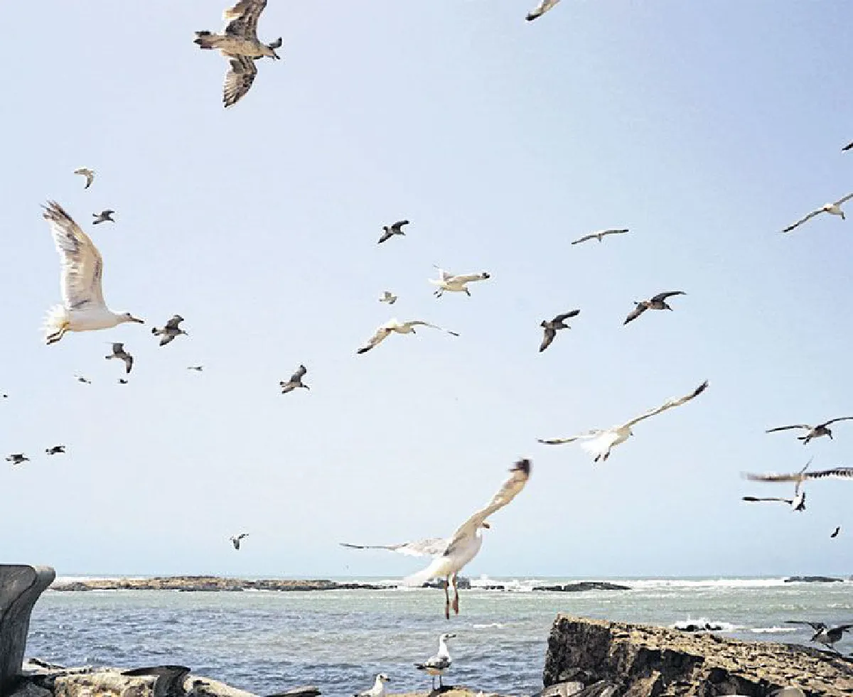 ฟ้าจรดทรายบนดินแดนในฝัน