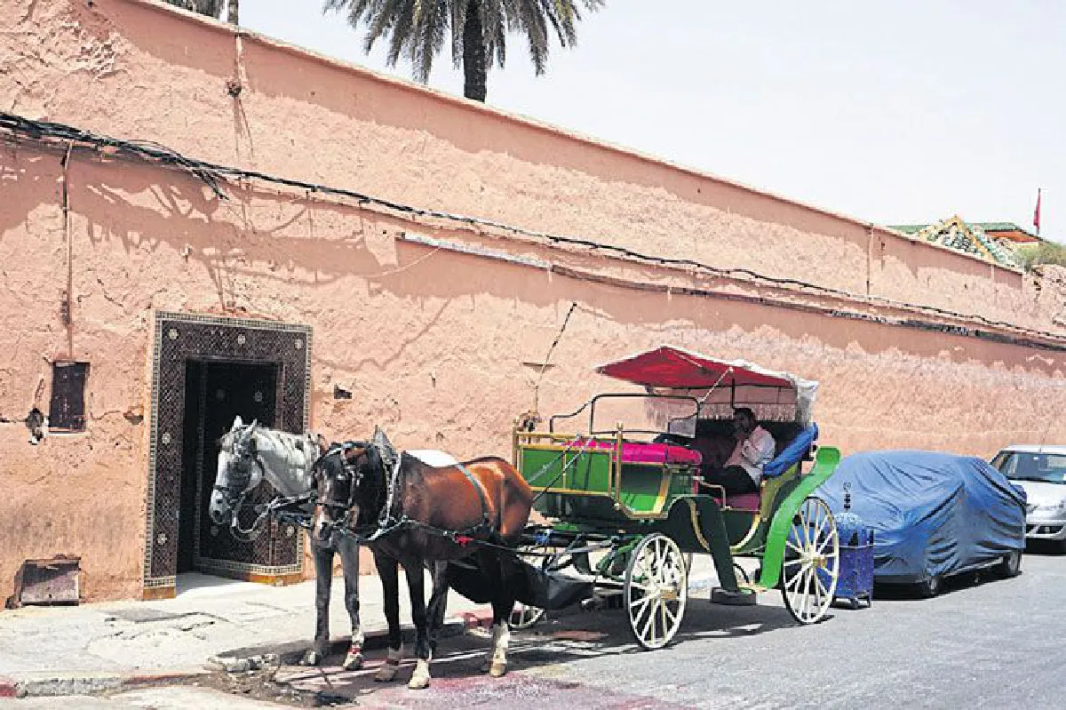 ฟ้าจรดทรายบนดินแดนในฝัน