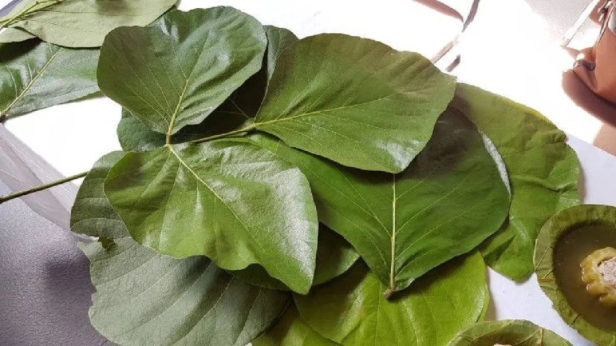 จานใบไม้น้อมใจอาลัยพ่อหลวง