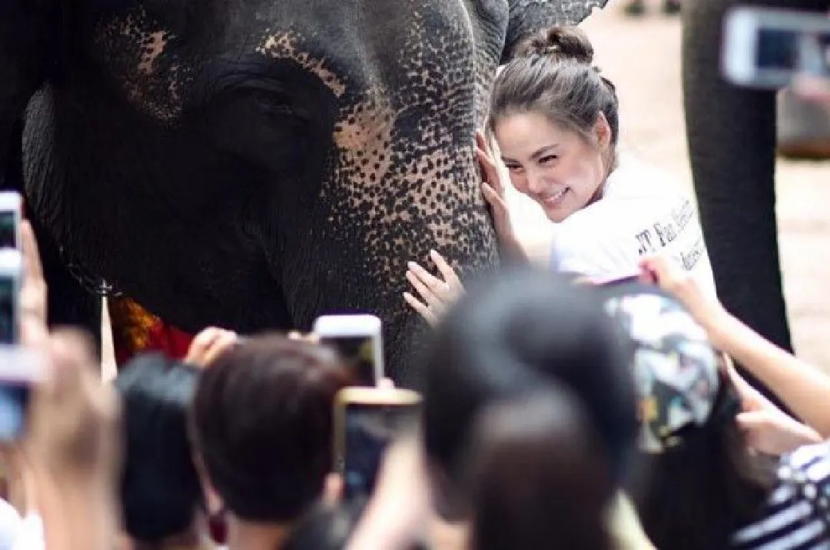 เจนี่ กลั้นน้ำตาไม่อยู่! บอกไม่มีแฟนคลับ ไม่มีเจนี่วันนี้ เป็นความรักที่บริสุทธิ์จริงๆ