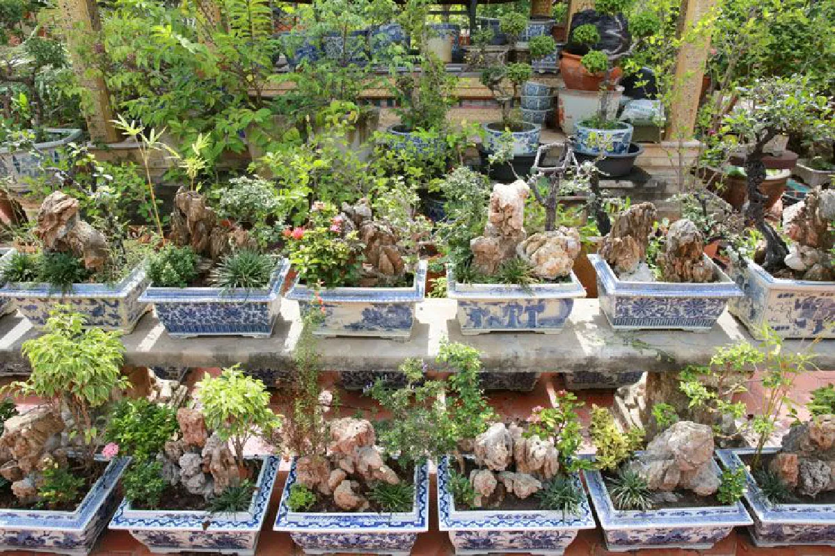 "ไม้ดัด" วัดคลองเตยใน สืบสานงานศิลป์และเอกลักษณ์ไทย