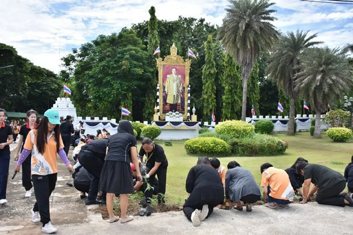 ชาว มน. ร่วมใจ ปลูกดาวเรือง 10,000 ต้น รำลึกพระมหากรุณาธิคุณ ในหลวง ร.9