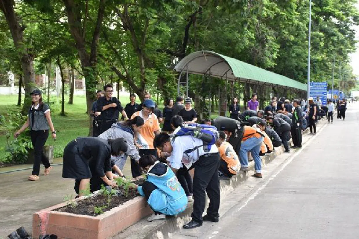 ชาว มน. ร่วมใจ ปลูกดาวเรือง 10,000 ต้น รำลึกพระมหากรุณาธิคุณ ในหลวง ร.9