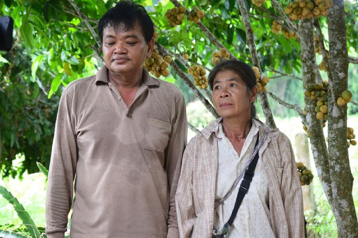 สามีภรรยายึดศาสตร์พระราชาปลูกผลไม้ผสมผสานสร้างกำไรนับแสน สามีภรรยายึดศาสตร์พระราชาปลูกผลไม้ผสมผสานสร้างกำไรนับแสน