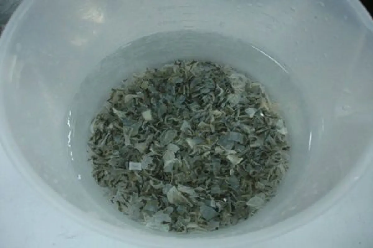 ประมงเจ๋งโชว์งานวิจัยนำหนังปลานิลผลิต “คอลลาเจน” คุณภาพสูง