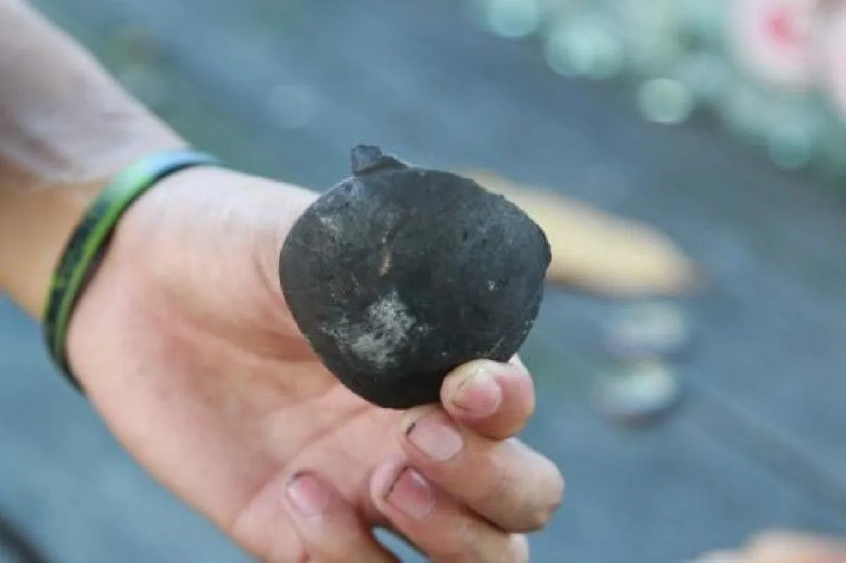 อุทาหรณ์! หนุ่ม "เผาลูกเปตอง" หวังให้มันวาว-โยนแม่นขึ้น สุดท้ายระเบิดใส่หน้าดับอนาถ