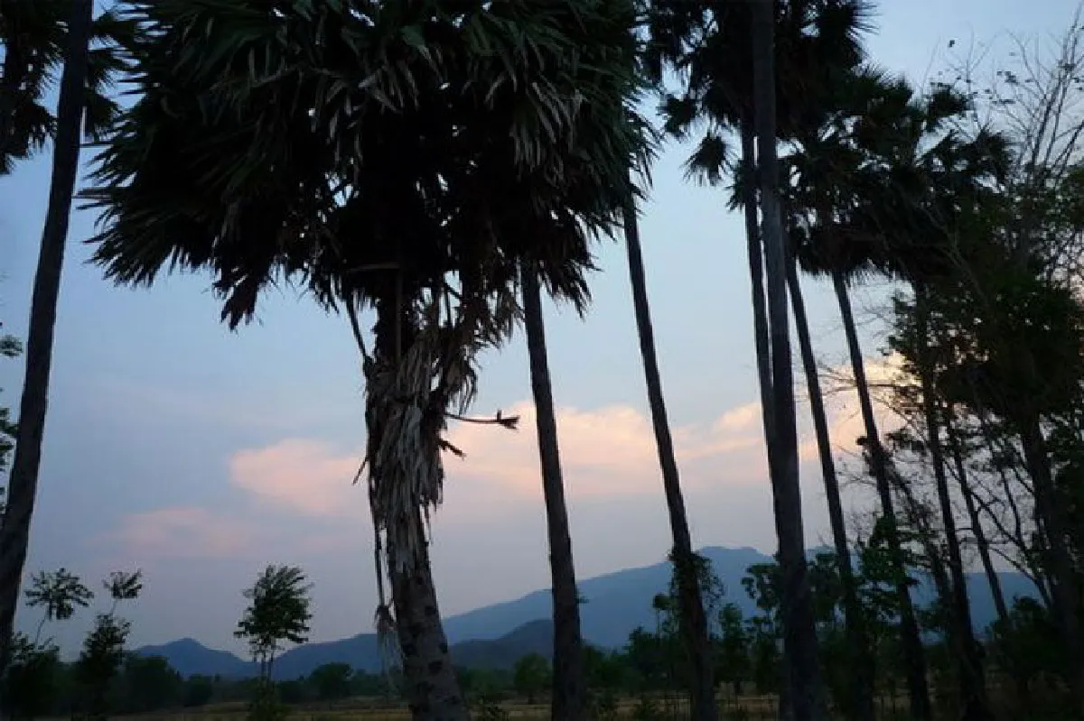 เที่ยว ‘คีรีมาศ’ ชมอารยธรรมขอมเมืองสุโขทัย