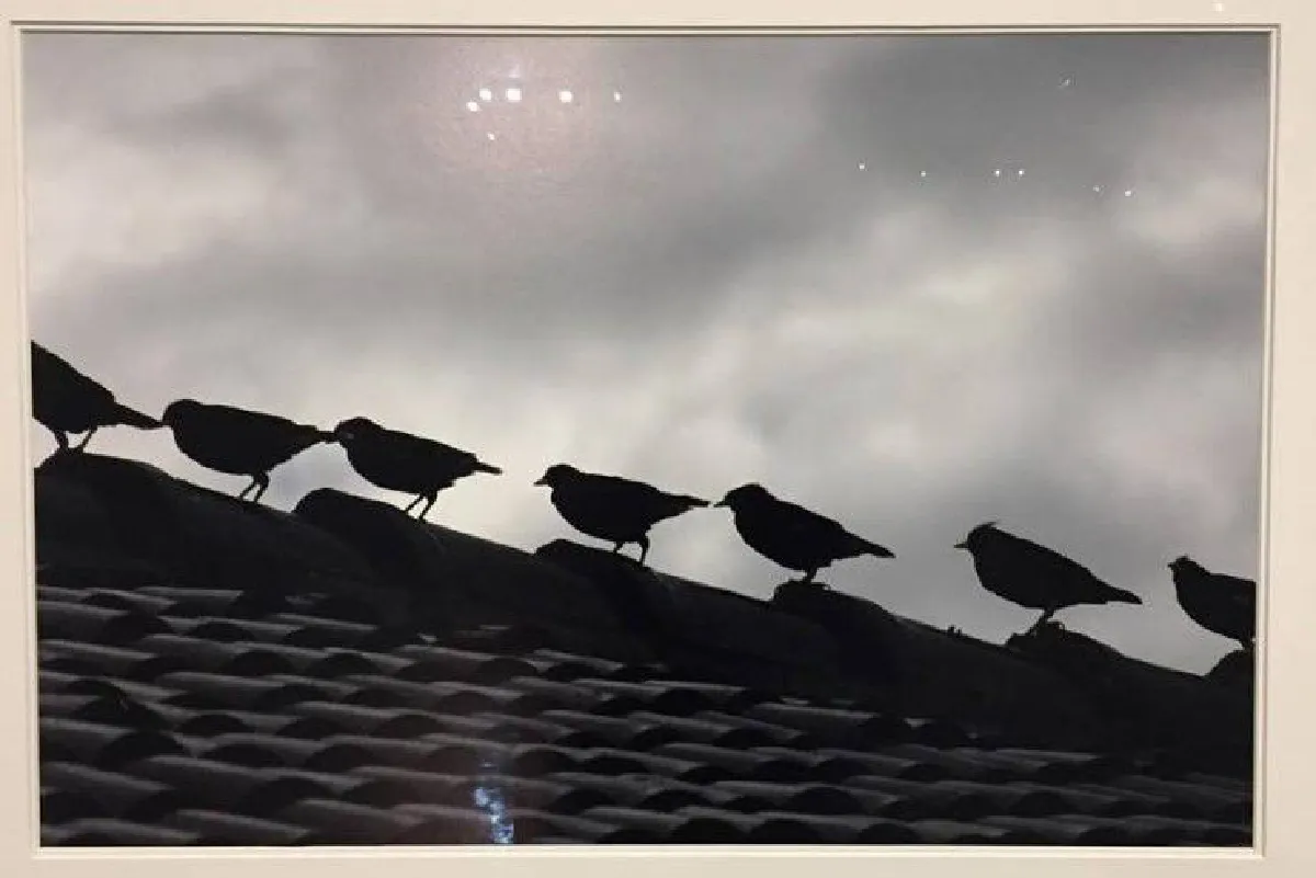 มองตามสายพระเนตรในหลวงร.9 ในนิทรรศการภาพถ่ายฝีพระหัตถ์