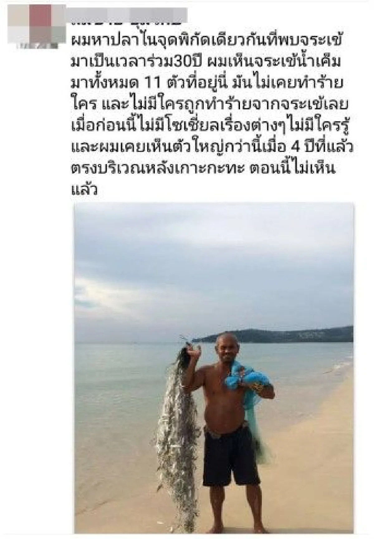 ชาวภูเก็ตตั้งคำถาม "จระเข้น้ำเค็ม" อาศัยอยู่ภูเก็ตนานแล้วเเต่ตกสำรวจหรือเปล่า หลังคนให้ข้อมูลเพียบ