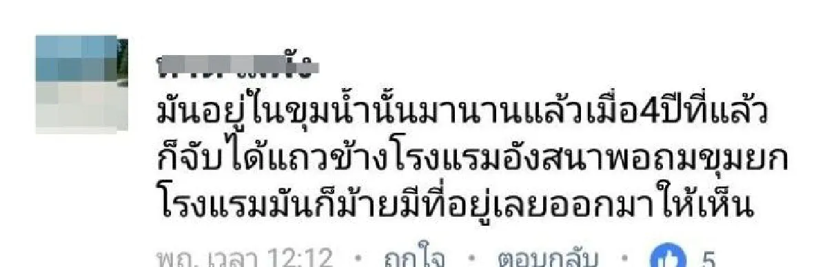 ชาวภูเก็ตตั้งคำถาม "จระเข้น้ำเค็ม" อาศัยอยู่ภูเก็ตนานแล้วเเต่ตกสำรวจหรือเปล่า หลังคนให้ข้อมูลเพียบ