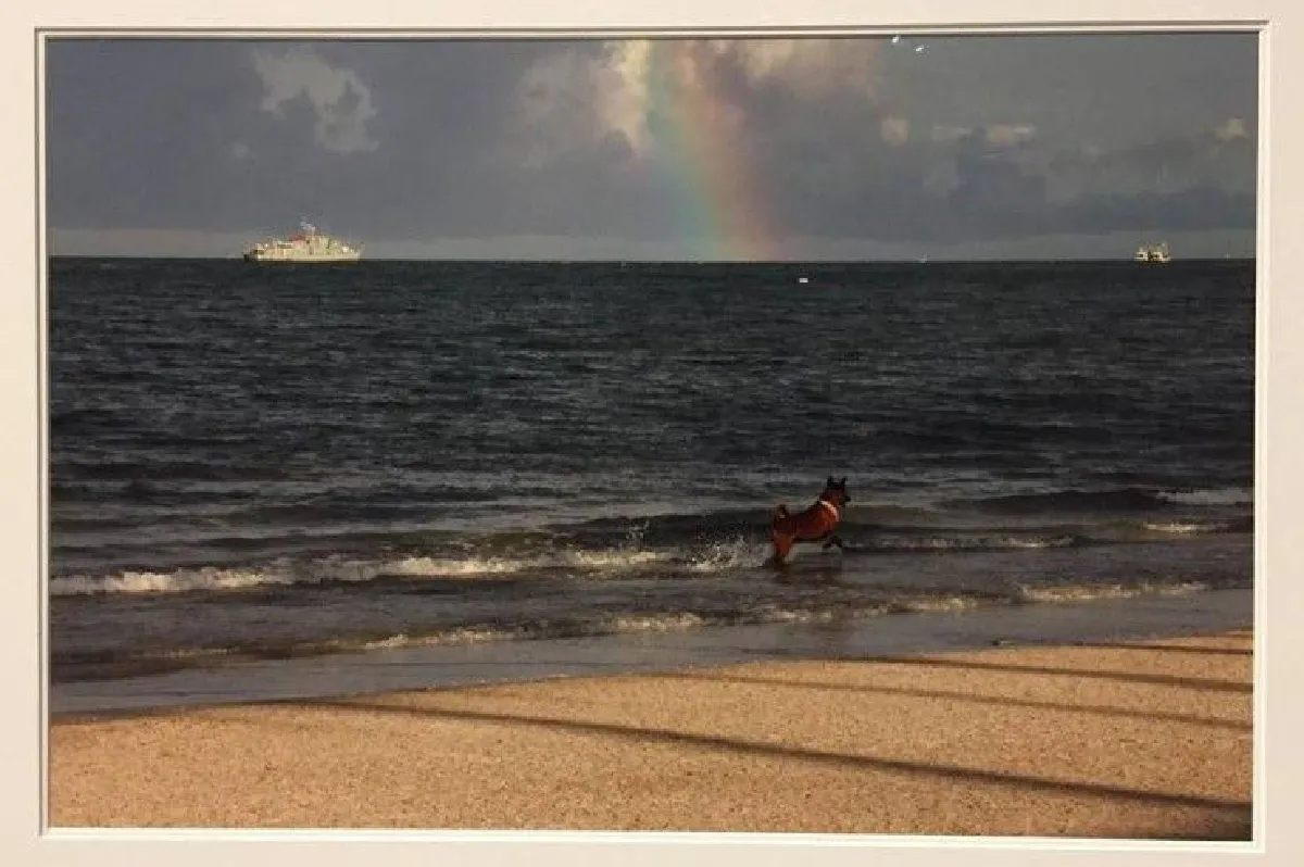 มองตามสายพระเนตรในหลวงร.9 ในนิทรรศการภาพถ่ายฝีพระหัตถ์