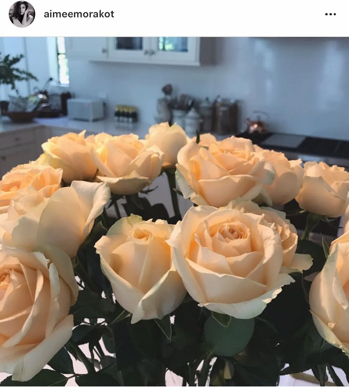 เปิดห้องครัวดารา..ตกแต่งสวยดูดี อีกหนึ่งมุมโปรดของบ้าน