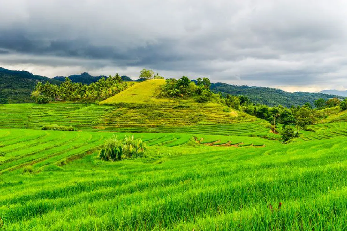 ฟิลิปปินส์ เมื่อมองหา ก็มองเห็น