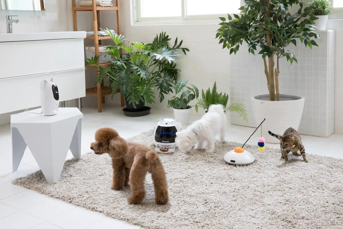 ใกล้ชิดสัตว์เลี้ยงตัวโปรดด้วยเครื่องติดตามและนวัตกรรมป้อนอาหารอัจฉริยะ