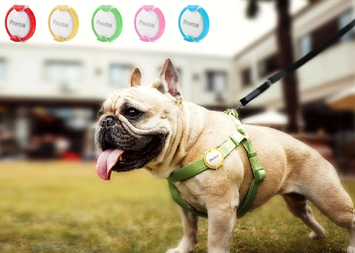 ใกล้ชิดสัตว์เลี้ยงตัวโปรดด้วยเครื่องติดตามและนวัตกรรมป้อนอาหารอัจฉริยะ