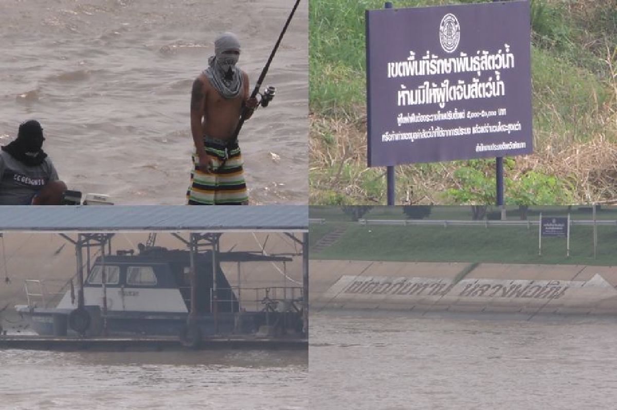 อึ้ง!ลอบจับปลาหน้าเขื่อนไม่กลัวกฎหมาย อึ้ง!ลอบจับปลาหน้าเขื่อนไม่กลัวกฎหมาย