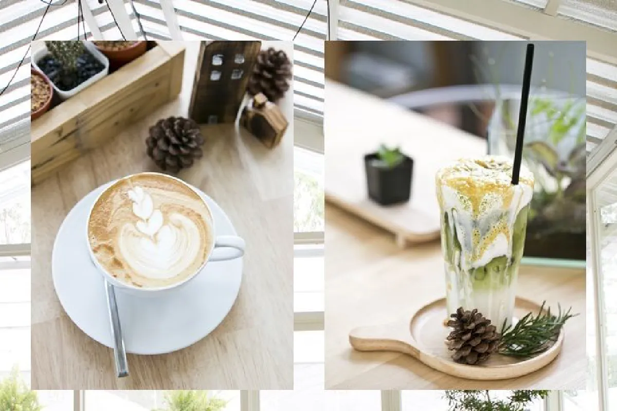 The Pine Farm & Cafe