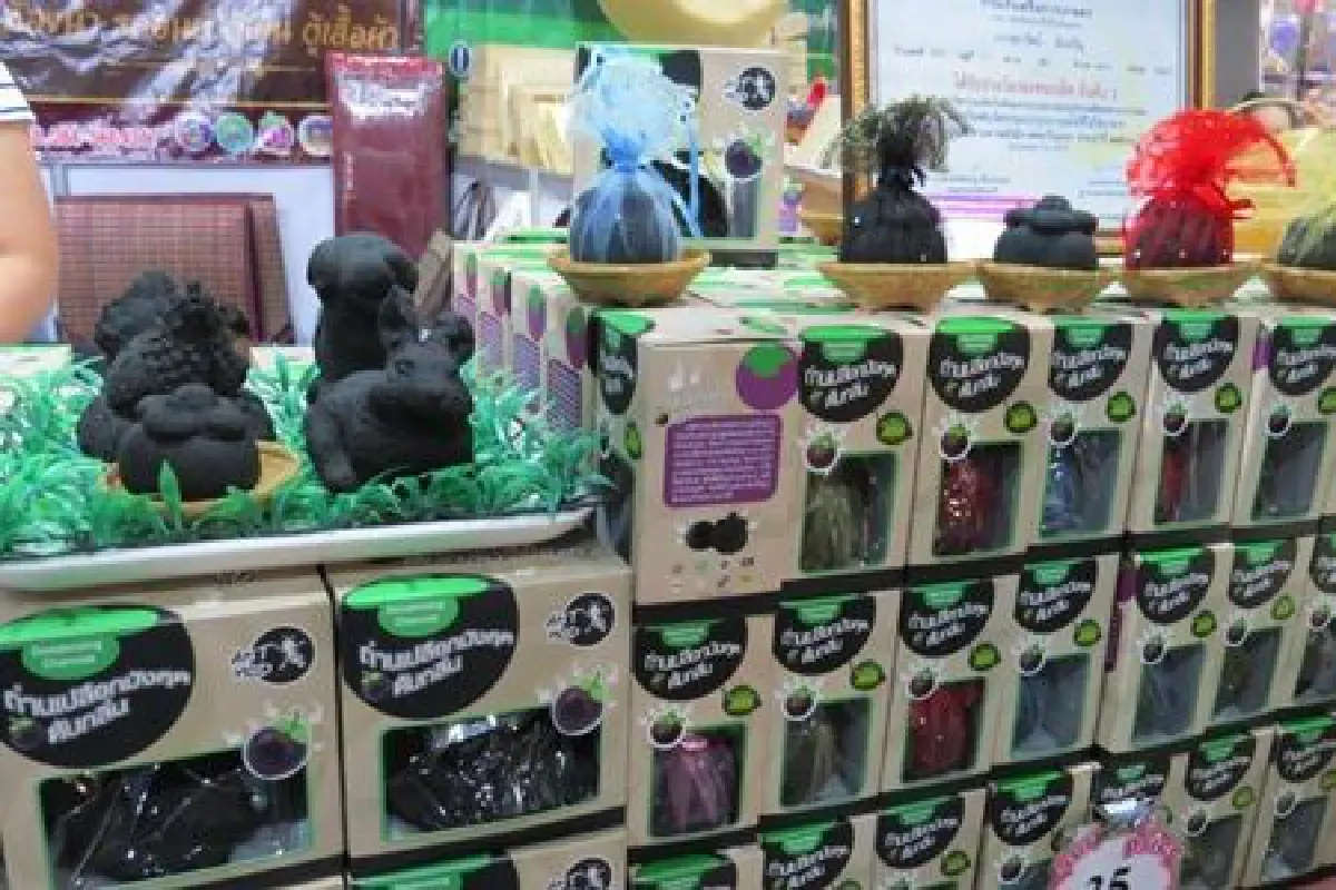 นวัตกรรมจากขยะ ‘แอ๊นมด’ ถ่านเปลือกมังคุดดูดกลิ่น