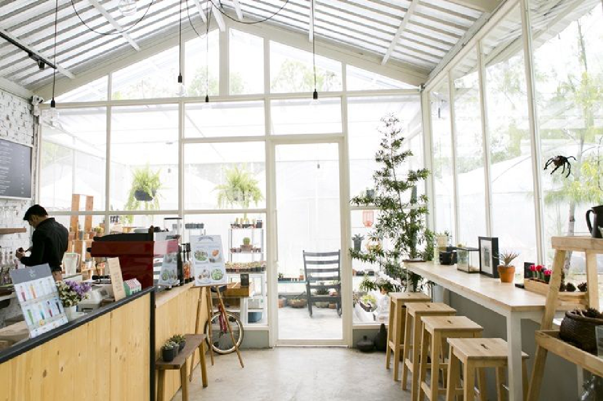 The Pine Farm & Cafe The Pine Farm & Cafe