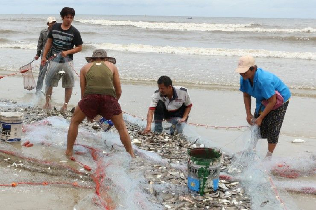 ชาวบ้านแห่จับปลาชายหาดหัวหินหลังเกิดปรากฏการณ์ "น้ำเบียด-น้ำกัน" ชาวบ้านแห่จับปลาชายหาดหัวหินหลังเกิดปรากฏการณ์ "น้ำเบียด-น้ำกัน"
