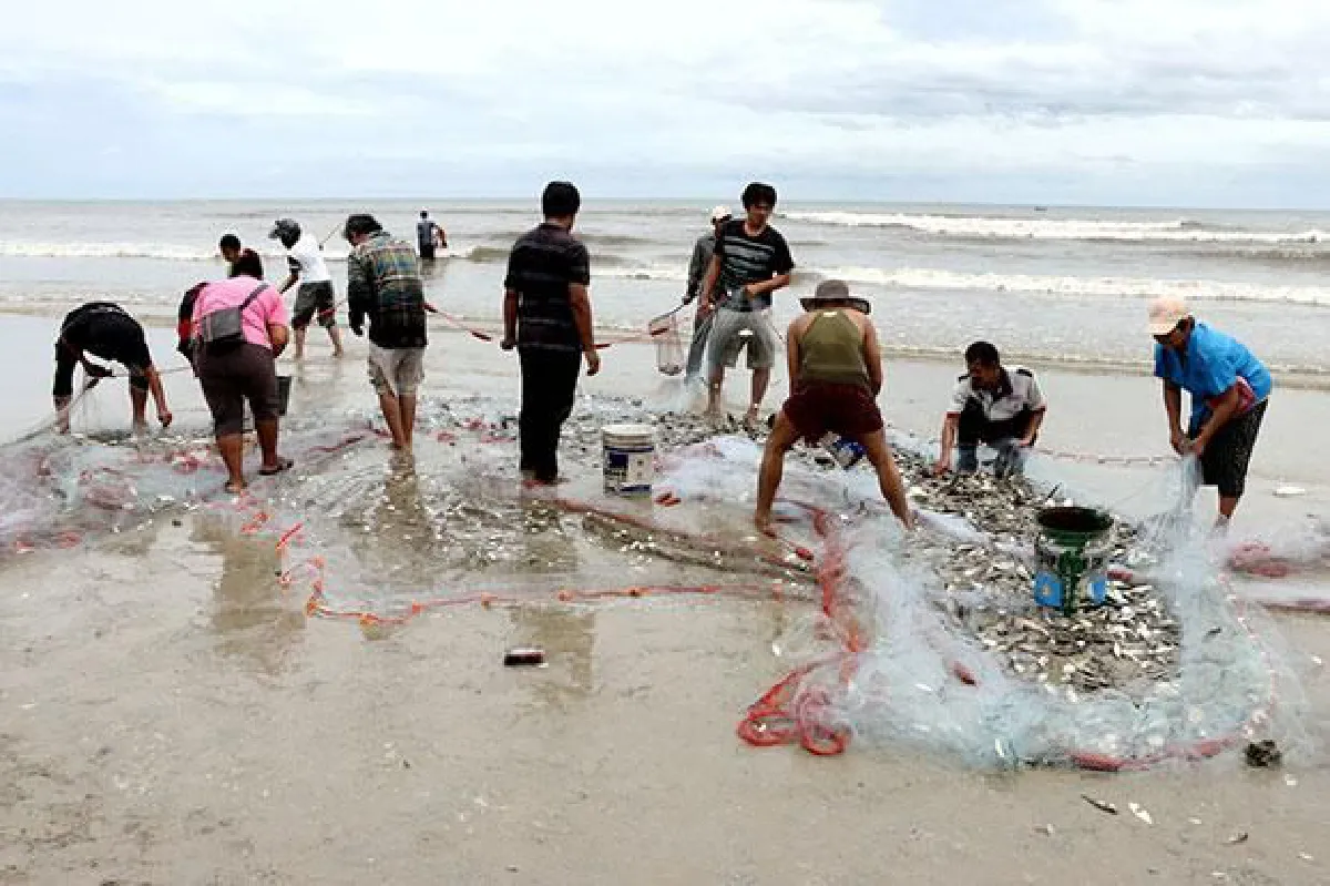 Fish come to shore in Hua Hin