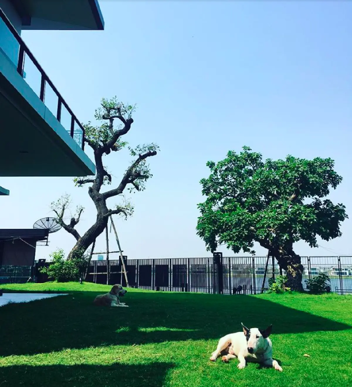 เปิดบ้านริมแม่น้ำของ “ป๋อ ณัฐวุฒิ” ที่ทุ่มเทเพื่อครอบครัว