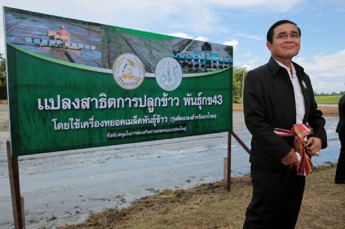 ครม.อนุมัติมาตรการช่วยเกษตรกร-รักษาเสถียรภาพข้าววงเงิน8.7หมื่นล้าน ครม.อนุมัติมาตรการช่วยเกษตรกร-รักษาเสถียรภาพข้าววงเงิน8.7หมื่นล้าน