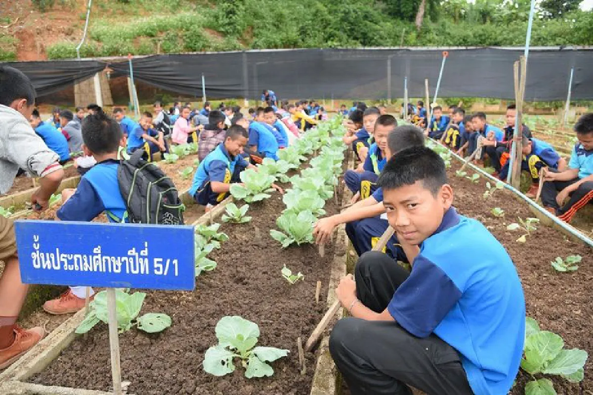 เศรษฐกิจพอเพียง สู่โภชนาการยั่งยืน