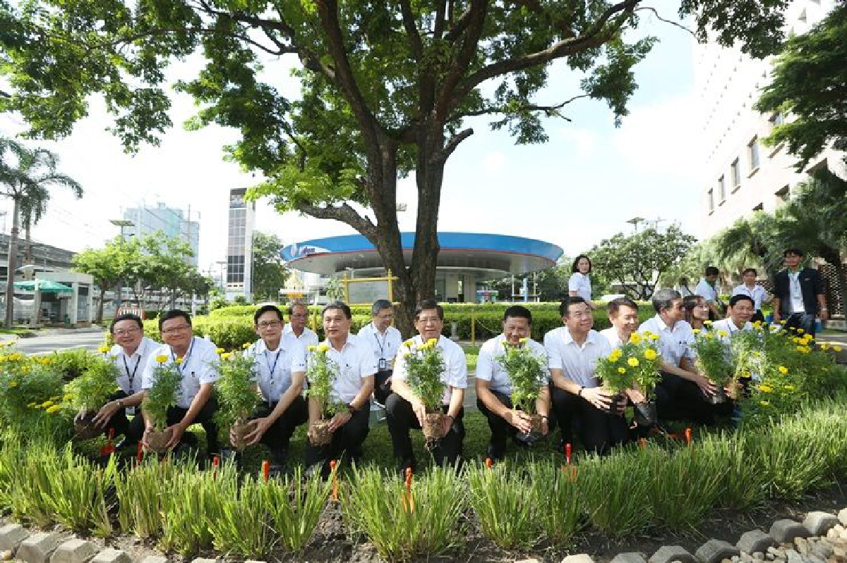 "กลุ่ม ปตท. ผนึกพลังปลูกดาวเรือง 99,999 ต้น แทนดวงใจ ถวายพ่อหลวง" "กลุ่ม ปตท. ผนึกพลังปลูกดาวเรือง 99,999 ต้น แทนดวงใจ ถวายพ่อหลวง"