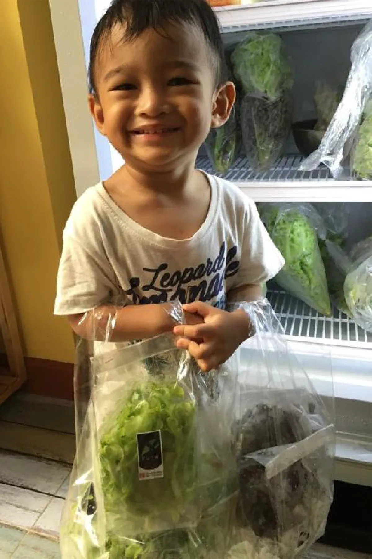 'เฟียว ออร์แกนิค ฟาร์ม' ปลูกผักออร์แกนิก 100%