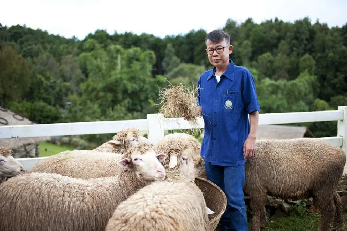 กาแฟต้นแรก - การเลี้ยงแกะ สู่ชีวิตที่ดีของชนเผ่าแบบยั่งยืน