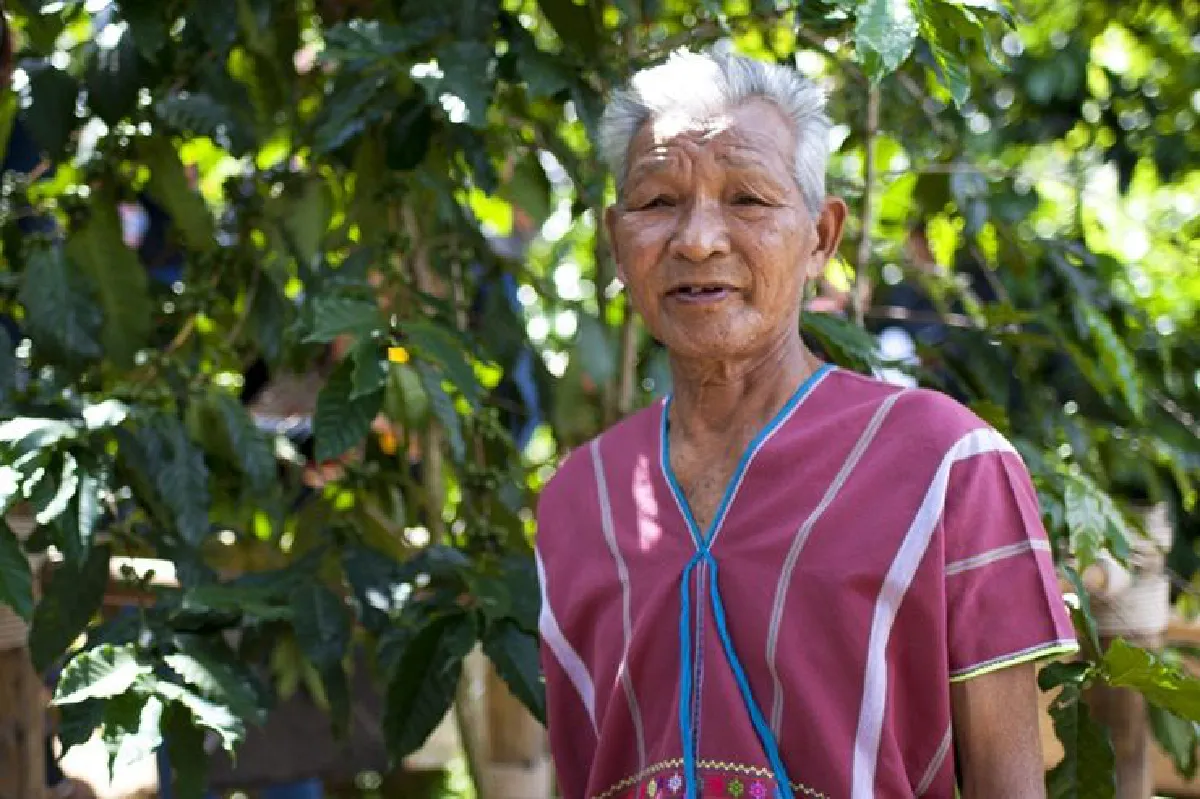 กาแฟต้นแรก - การเลี้ยงแกะ สู่ชีวิตที่ดีของชนเผ่าแบบยั่งยืน