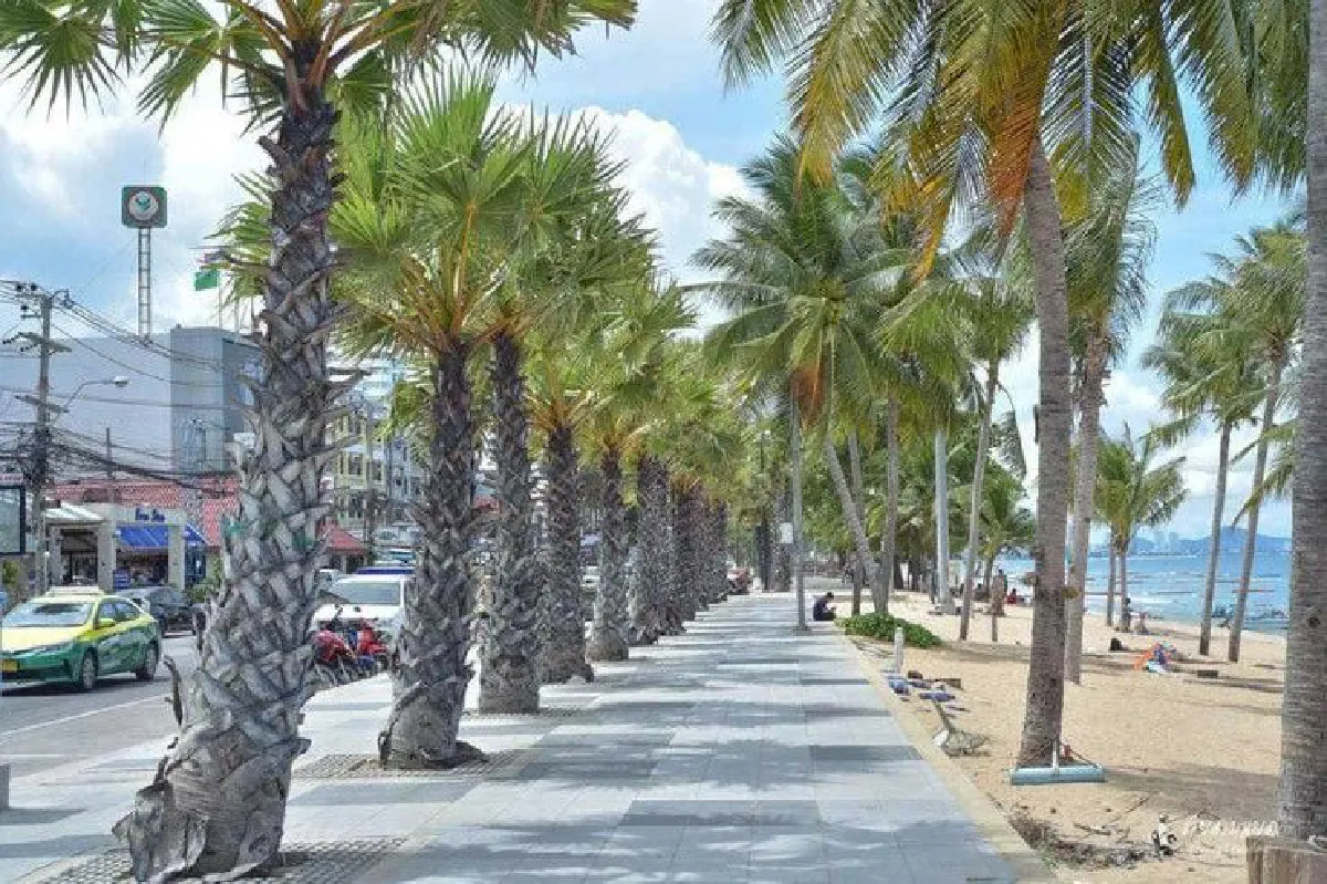 ปรับภูมิทัศน์ "พัทยา" กลายเป็น "ไมอามี่ไทยแลนด์"