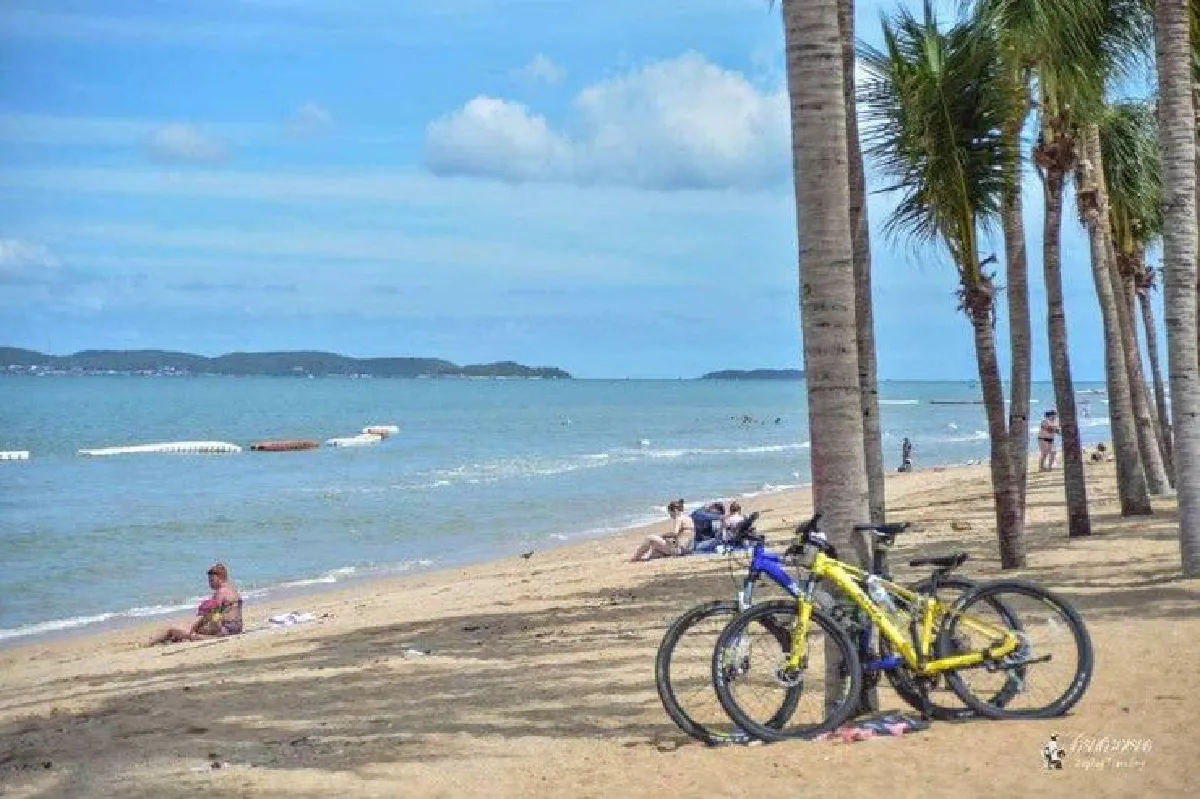 ปรับภูมิทัศน์ "พัทยา" กลายเป็น "ไมอามี่ไทยแลนด์"