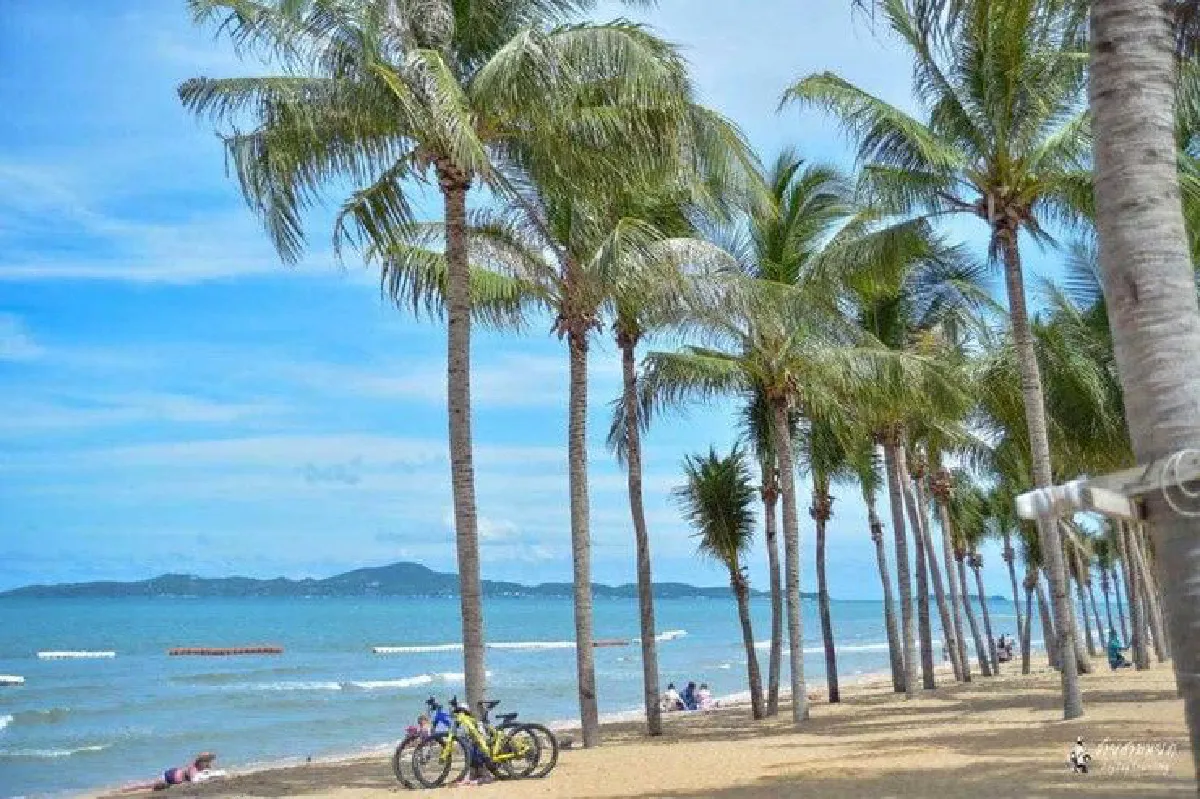 ปรับภูมิทัศน์ "พัทยา" กลายเป็น "ไมอามี่ไทยแลนด์"