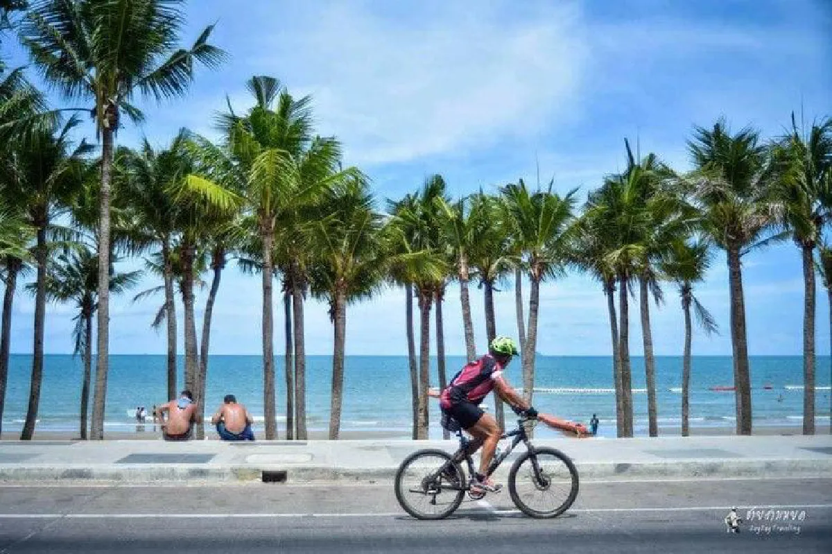 ปรับภูมิทัศน์ "พัทยา" กลายเป็น "ไมอามี่ไทยแลนด์"
