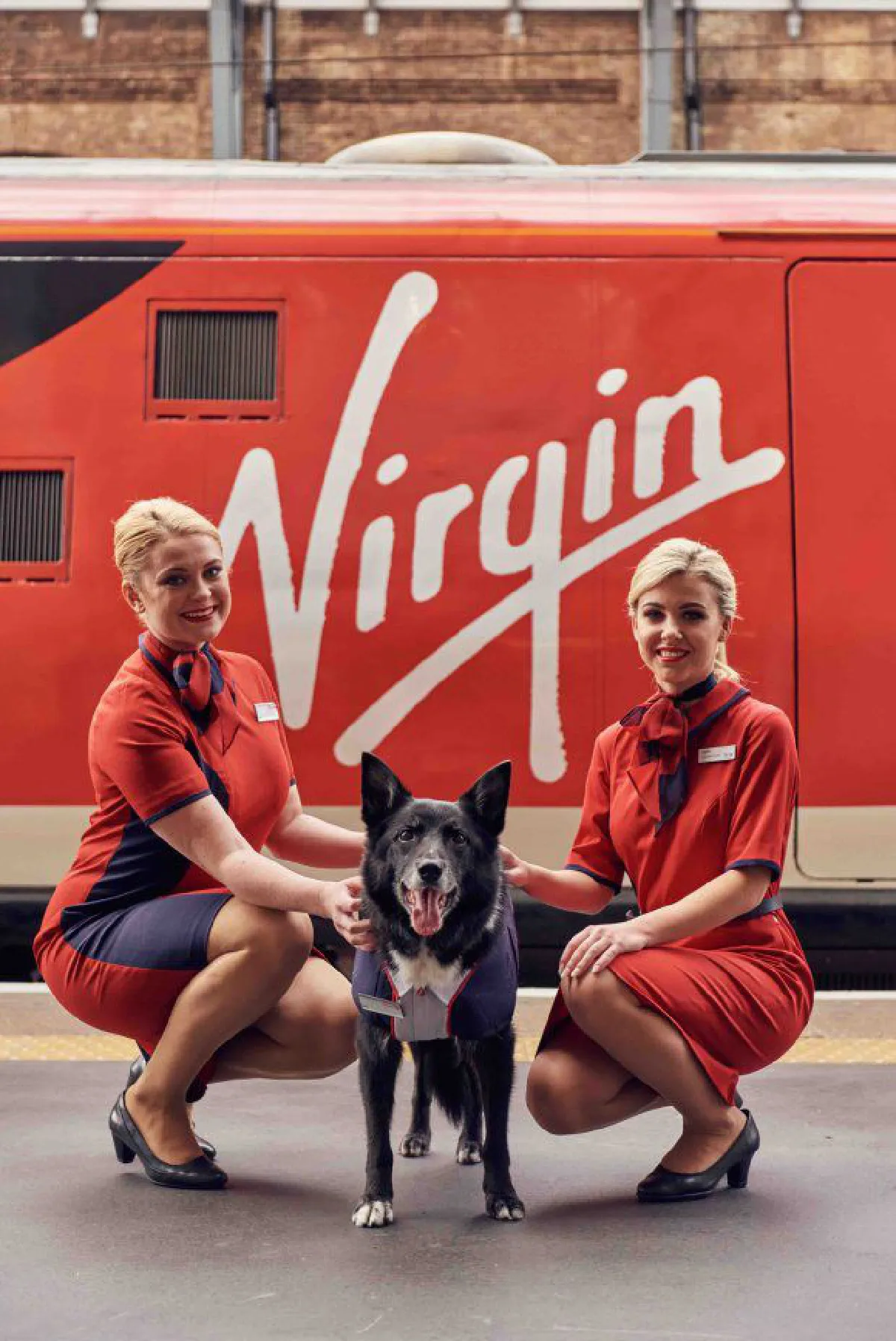 น่ารัก! รถไฟเวอร์จิ้นมอบยูนิฟอร์มพิเศษให้กับ ‘น้องหมา’ ที่ชอบมาสถานีรถไฟทุกวัน