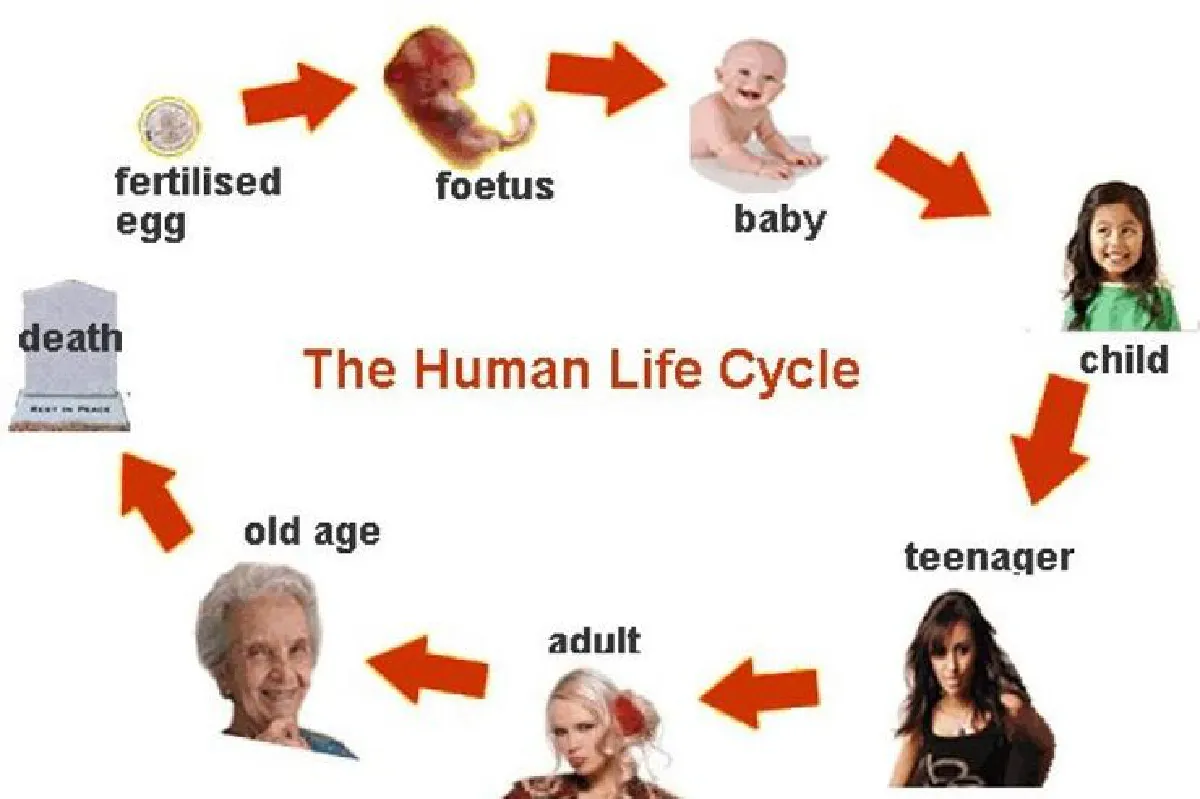 ใครควรจะอยู่ ใครน่าจะไป (3)