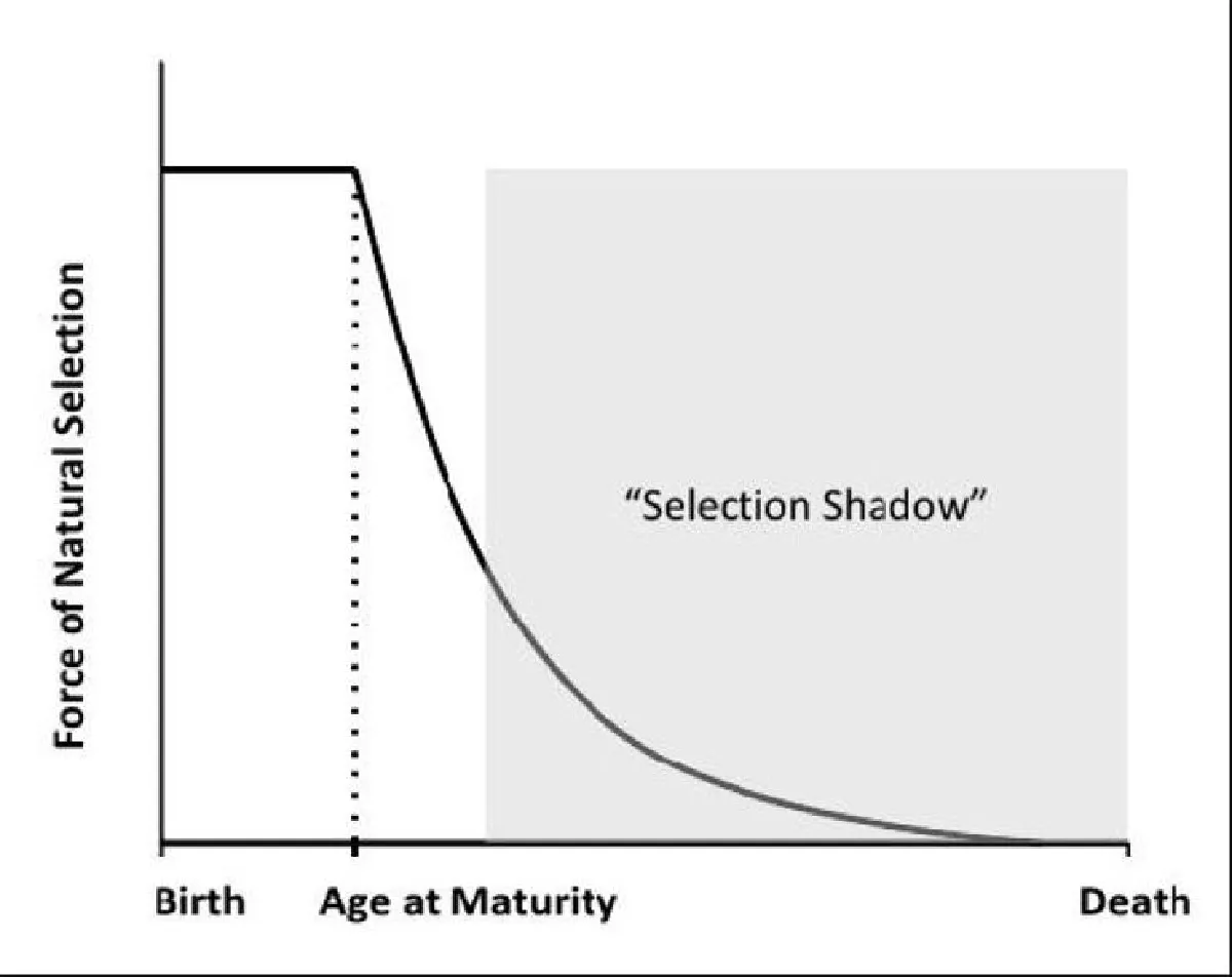 ใครควรจะอยู่ ใครน่าจะไป (3)